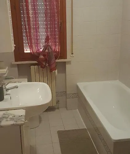 G -suite 세니갈리아